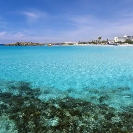 Rent Your Dream Holiday On The Beach, 1209 Villa